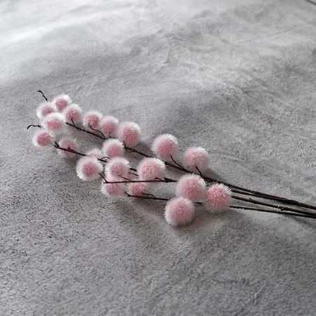 Elegant Very Berry In By Renters * פוזנן