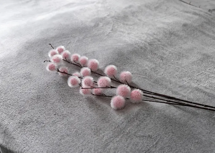 Elegant Very Berry In By Renters * Poznan