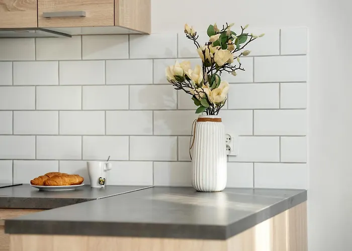 Elegant Very Berry In By Renters Apartment